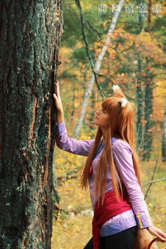 Обо всем - [Best Anime Cosplay] Подборка косплея Хоро (Spice and Wolf)